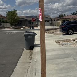 String Light Planter Pole