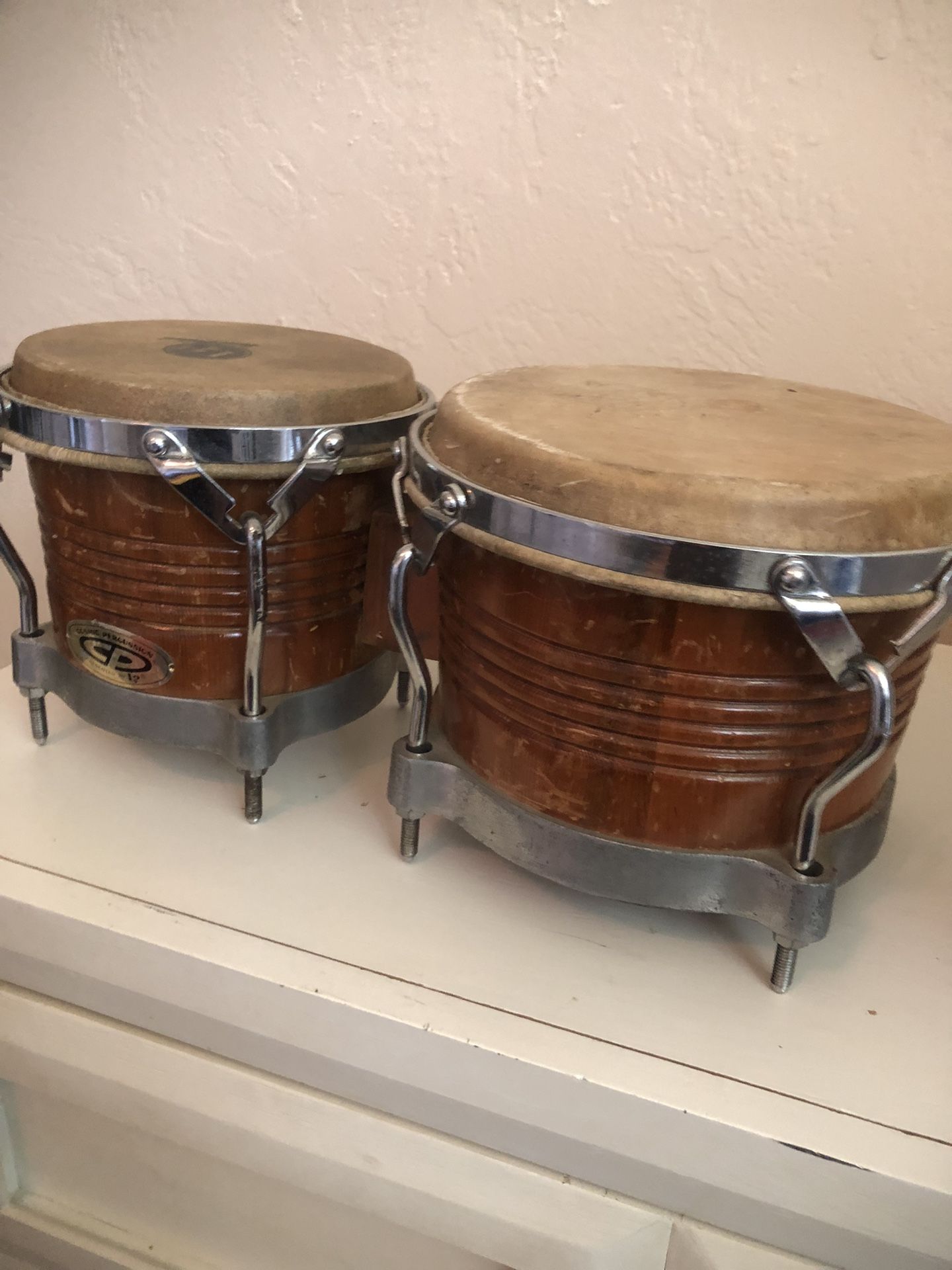 BONGO De RHUMBA !!!