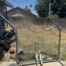 Z Net $100, Gold LTX 32 $100 And Demarini 30 $80