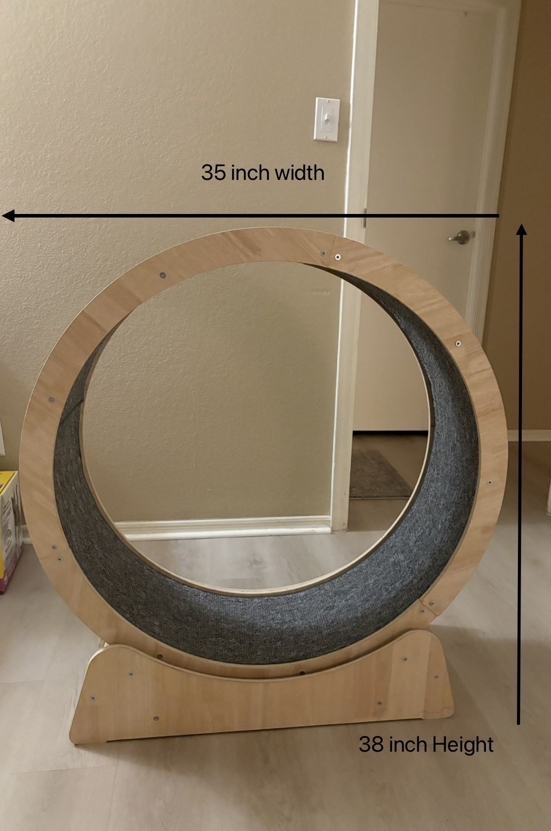 Cat Exercise Wheel