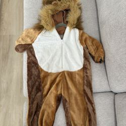 Halloween Lion costume