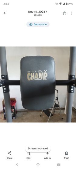 Body champ multifunctional pull up bar