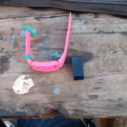 Fitbit