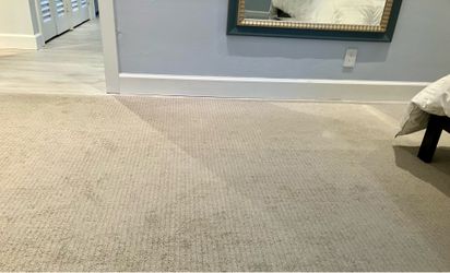 Large low pile rug with carpet pad