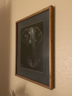 Medium To Large Elephant Picture