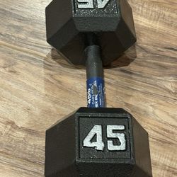 45lb Dumbbell