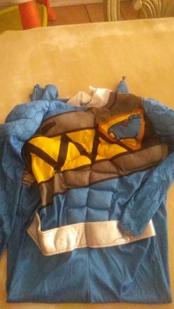 Blue ranger