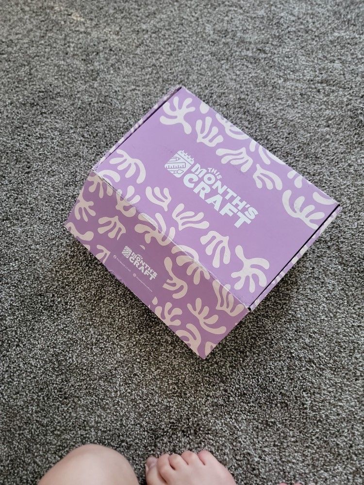Soap Making Kit