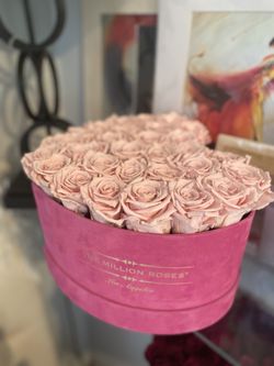 Millions roses flowers