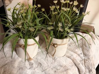 Set of 2 Faux Potted Plants with Ceramic Pots