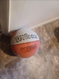 Wilson Basketball