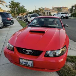 2002 Ford Mustang