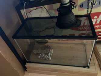 10 gallon terrarium for reptile
