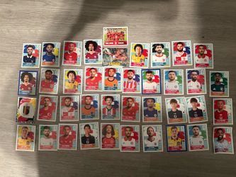 Panini World Cup Stickers