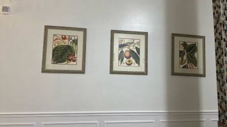 🖼️ Set of 3 Framed Botanical Wall Art Prints – Elegant Home Décor