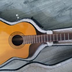 Classical Guitar Electric 
