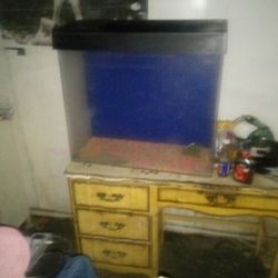 Huge Fish Aquarium 