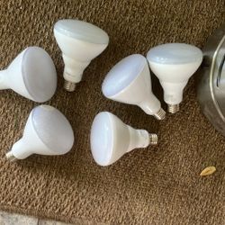 Free Light Bulbs