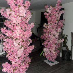 Party Decor