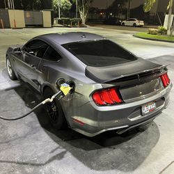 MustangCarbon fiber trunk