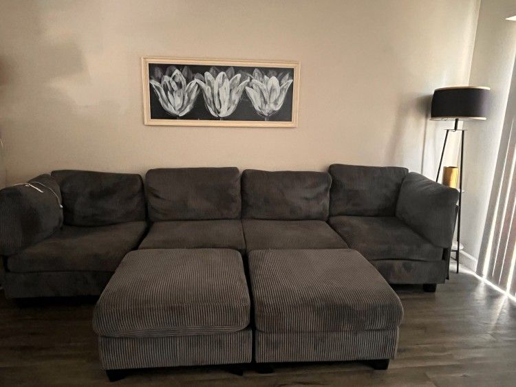 Grey Couches