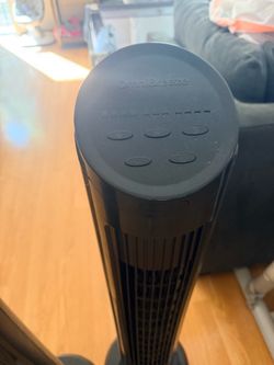Fan