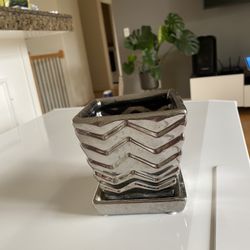 Silver Color Pot