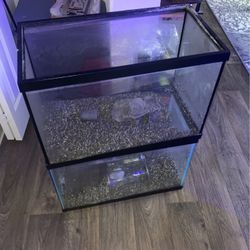 Fish Tanks