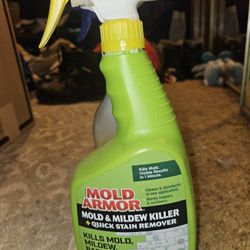 Mold Removal