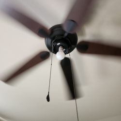Ceiling Fan