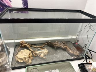 25 Gallon Tall Glass Tank-TRADE or OBO