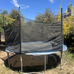 Free Trampoline 
