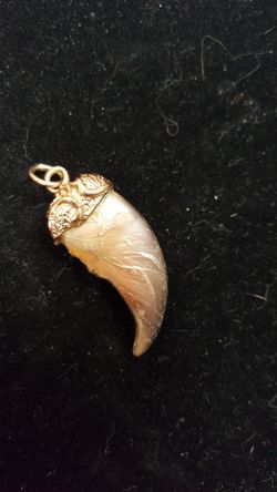 Bear claw 14k chunky top