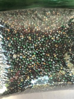 Fertilisante para las plantas