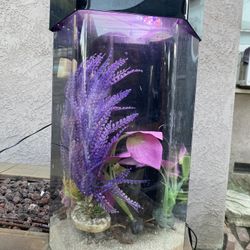 Nice Acrylic Tank (maybe 10g) With Filter, Heater, Lights, Decor