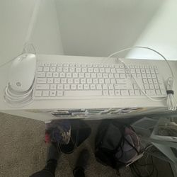 HP keyboard & Mouse (wired) 