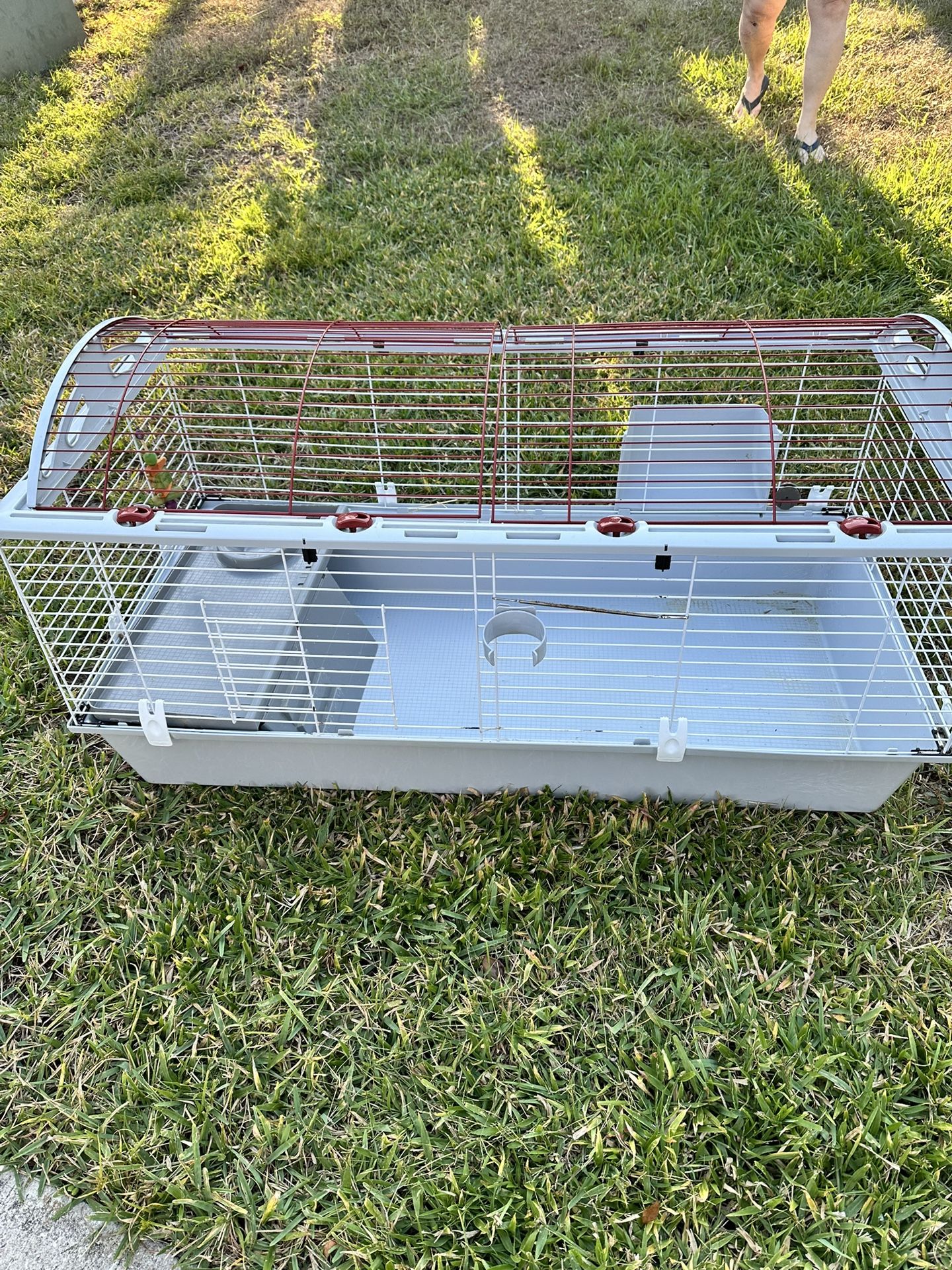 Small Animal Cage (Bunny) Hamster etc.