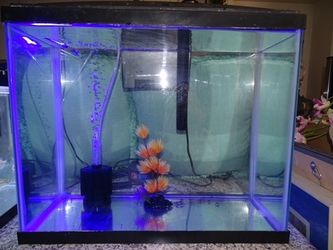30 gal fish tank , filter, light