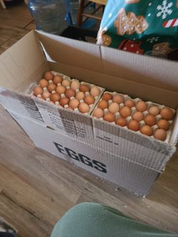 Huevos