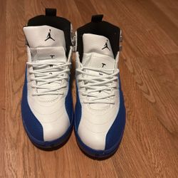 jordan 12 blueberry's 