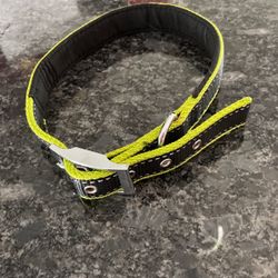 Large Dog Collar 