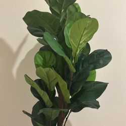 Faux Fiddle Leaf Plant 