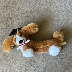 Graduation Puppy Toy 2024