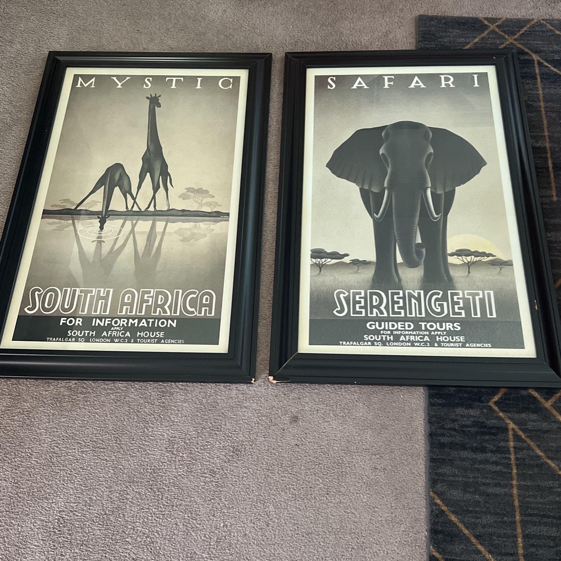 Mystic Safari Frames (Collectables) Collectibles & Art