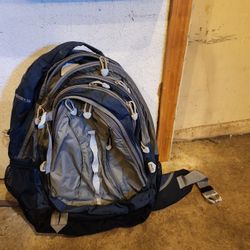 Jansport Backpacking ODESSEY 38 backpack