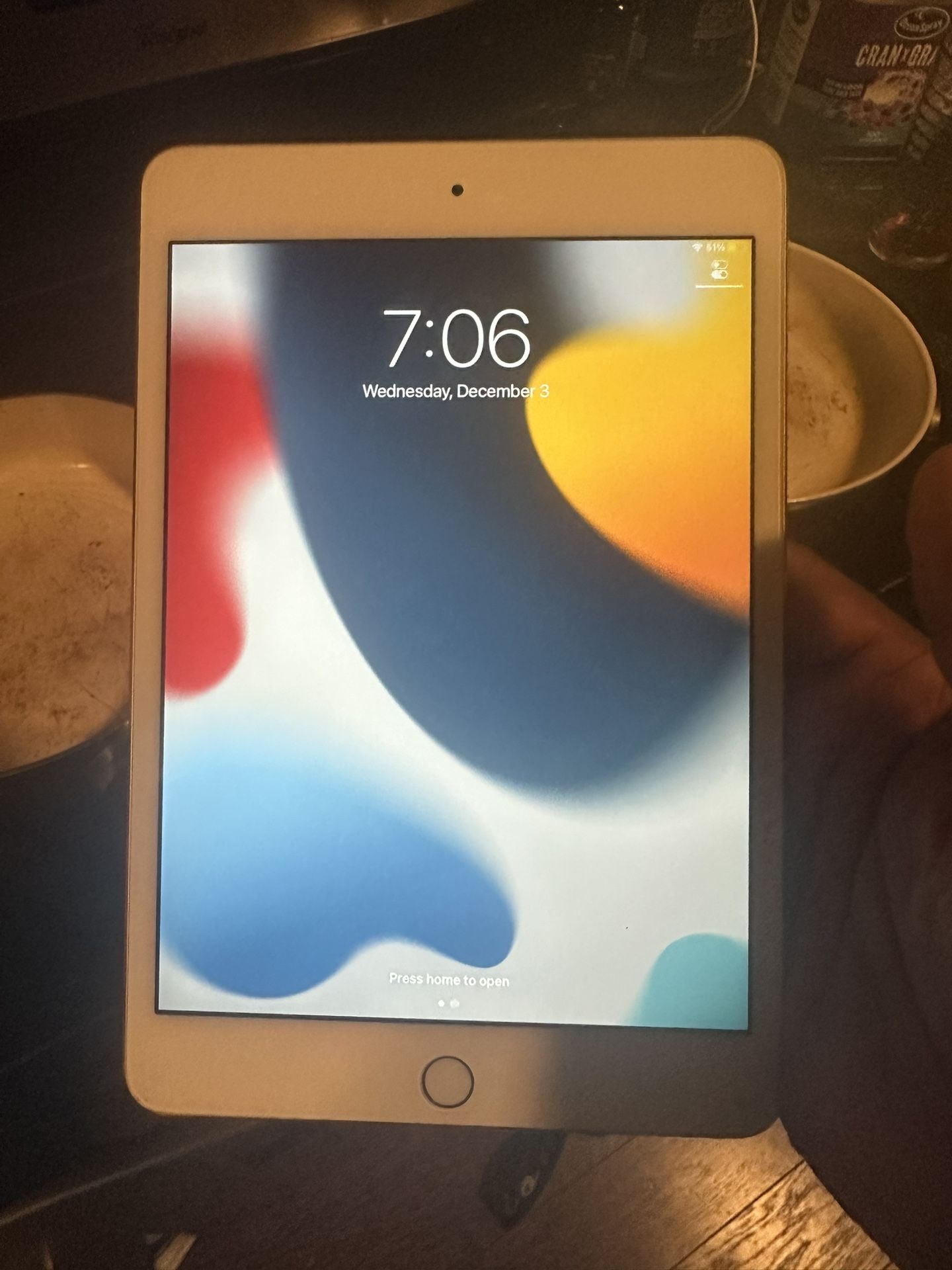 iPad Mini 4 