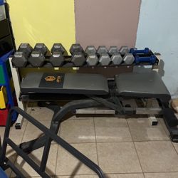 Workout Set - Weights, Bench, And Weight Rack