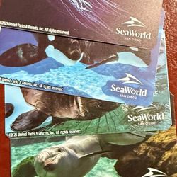 Seaworld Tickets