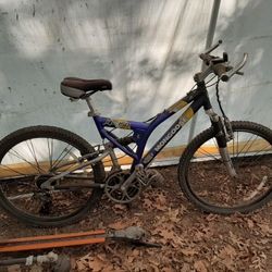 Mongoose