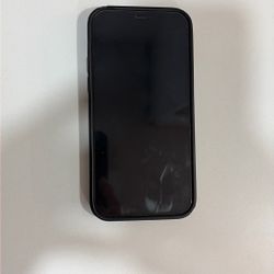 iPhone 12 Pro W/Silicone Case